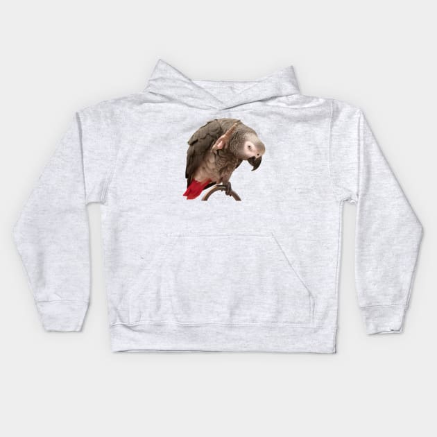 African Grey Parrot Funny Wave Kids Hoodie by Einstein Parrot